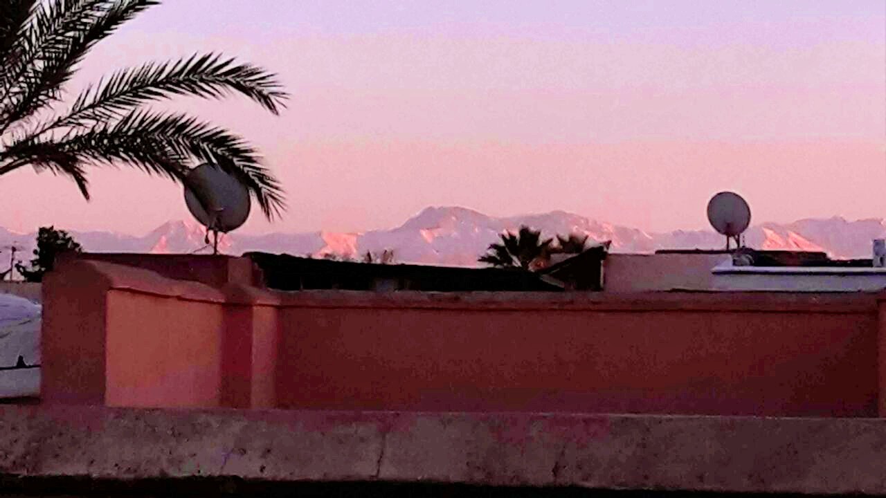 Persönlich, flexibel, kultverbunden